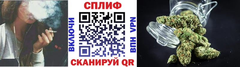 Конопля Amnesia  Ревда 